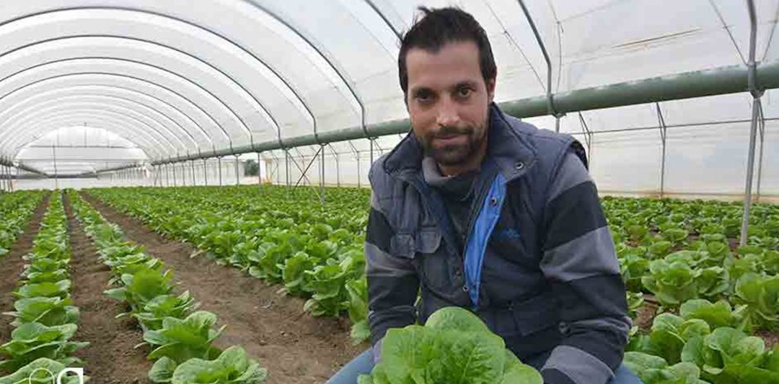 Αμαλιάδα: Στον καλλιεργητή λαχανικών Παναγιώτη Πασσά ο τίτλος Αγρότης της Χρονιάς 2019