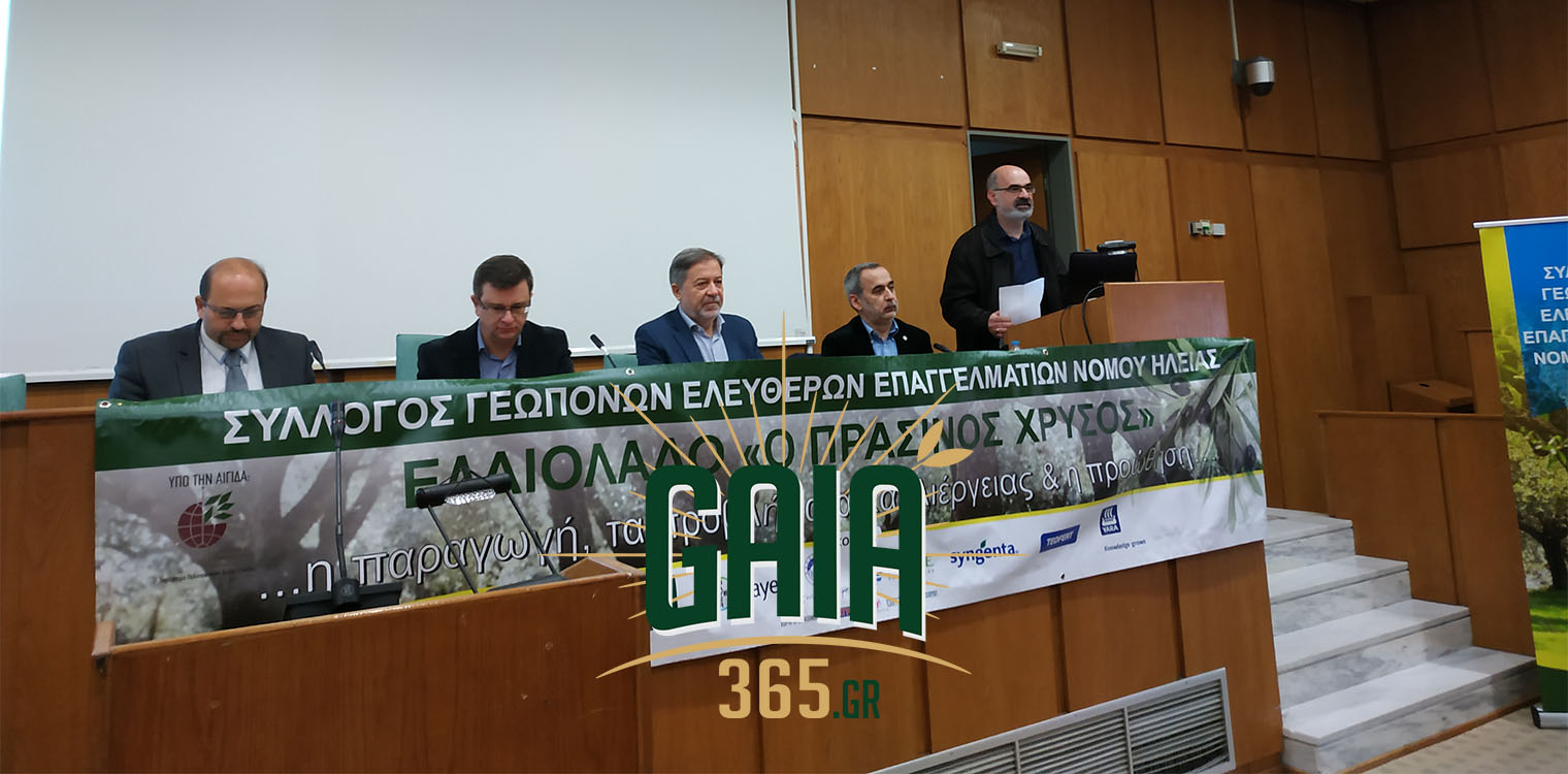 Το 2019 να είναι μια καλή ελαιοκομική χρονιά - Επιτυχημένη η ημερίδα των γεωπόνων