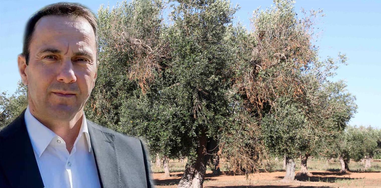 Μητρόπουλος: Εγκρίθηκε ομόφωνα σχέδιο έκτακτης ανάγκης για το βακτήριο Xylella fastidiosa