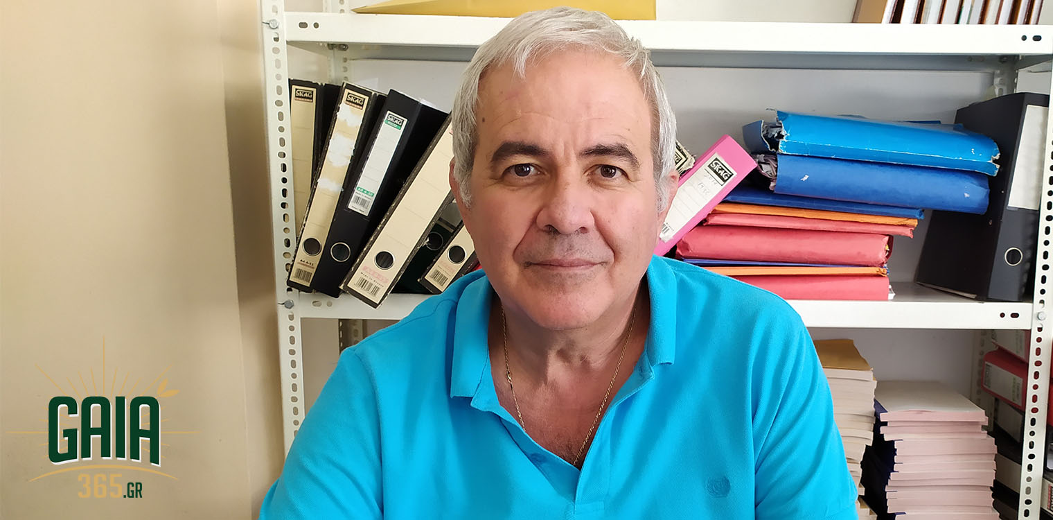 Και το ελαιόλαδο μέσα από την Ομάδα Παραγωγών Αμαλιάδας
