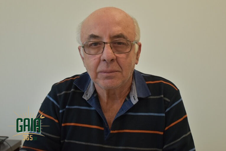 Arvanitakis