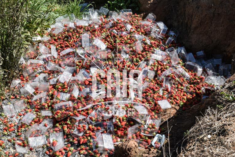 fraoules 3