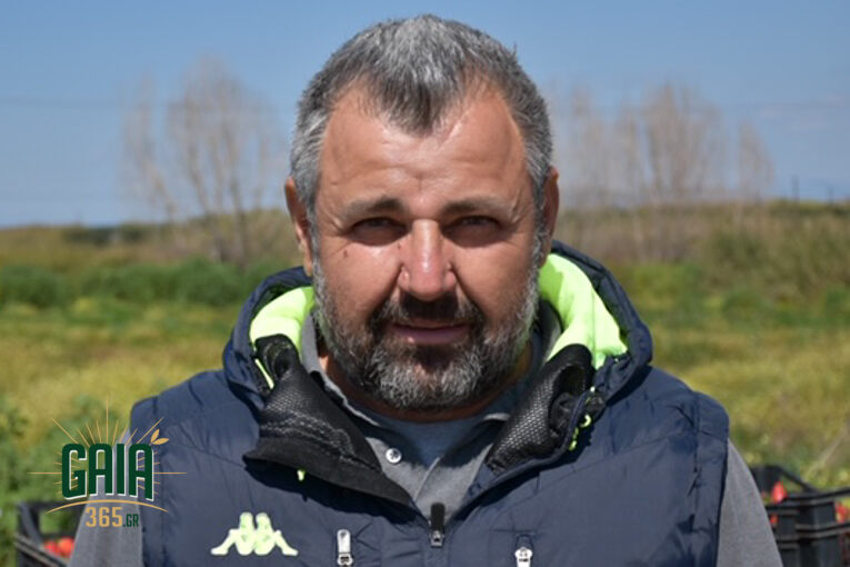 taktikos