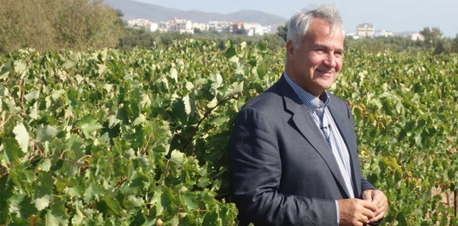 Βορίδης: Κατανέμονται οι νέες άδειες φύτευσης οινοποιήσιμων ποικιλιών αμπέλου για το 2020