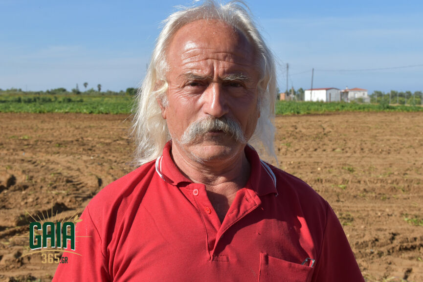 Mitsopoulos4