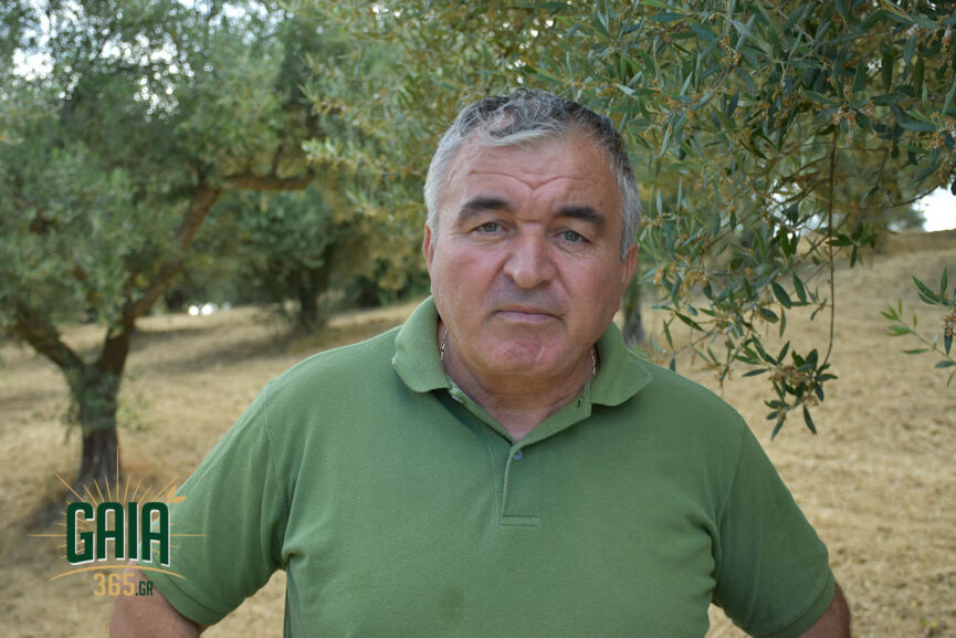Foufopoulos