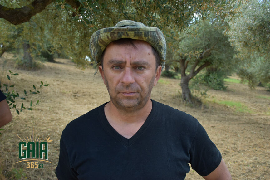 drakopoulos