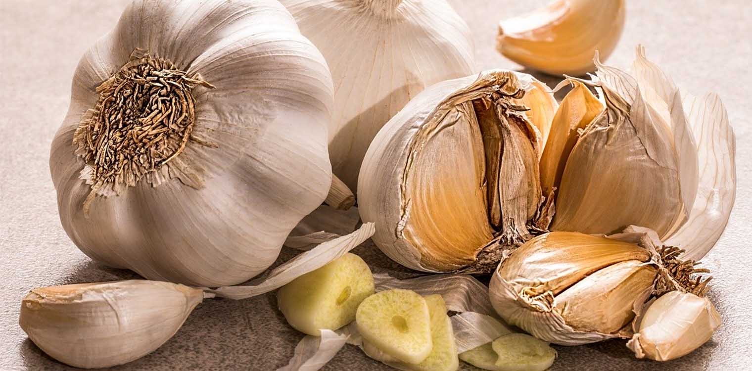 Άνοιξε ο δρόμος της πιστοποίησης του σκόρδου Πλατυκάμπου
