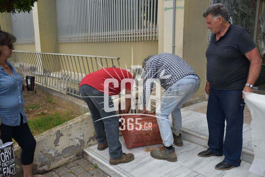 oasi patata 2