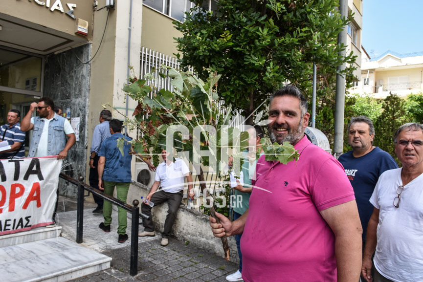 oasi poreia 8