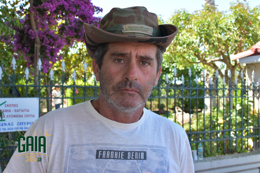 Diamantopoulos Kourtesi