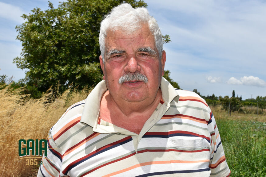 Euthiomilopoulos kardamas
