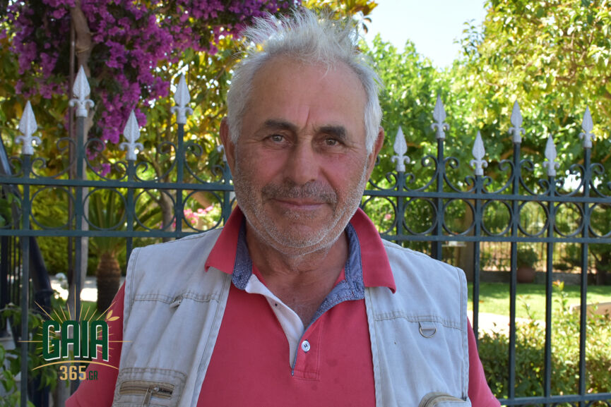 Fotopoulos Kourtesi