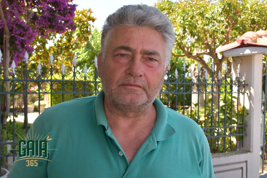 Kostopoulos Kourtesi