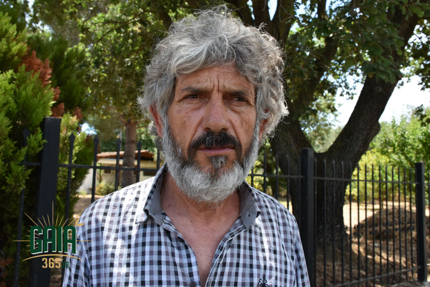 Kotsonis kardamas