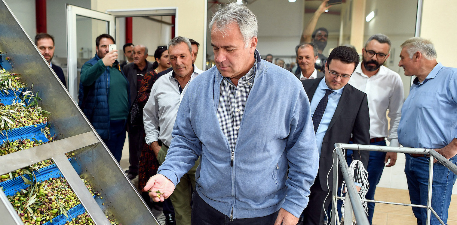 Νέα επιβράβευση των προσπαθειών Βορίδη: Αναγνωρίστηκε η Εθνική Διεπαγγελματική Οργάνωση Επιτραπέζιας Ελιάς