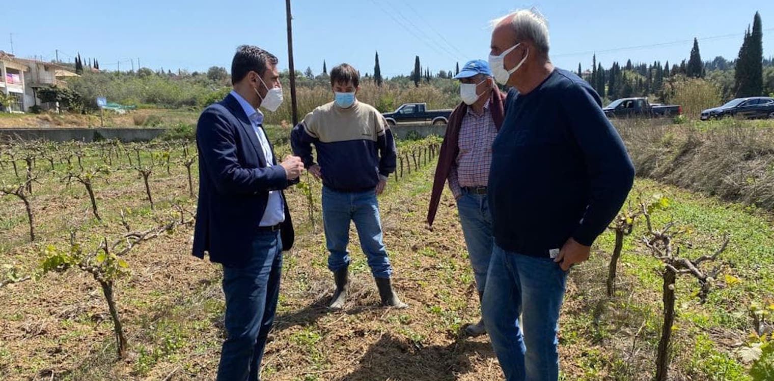 Νικολακόπουλος: Είδε από κοντά τις ζημιές του παγετού σε πολλές περιοχές