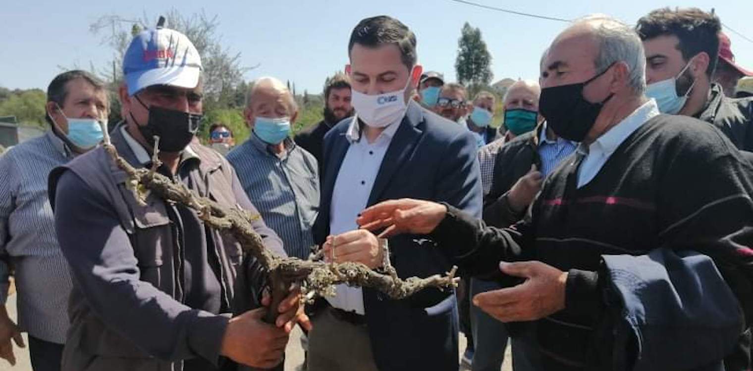 Βασιλόπουλος: Ο ΕΛΓΑ οφείλει να σταθεί στο ύψος των περιστάσεων και να καλύψει εξ ολοκλήρου τις ζημιές στην σταφίδα