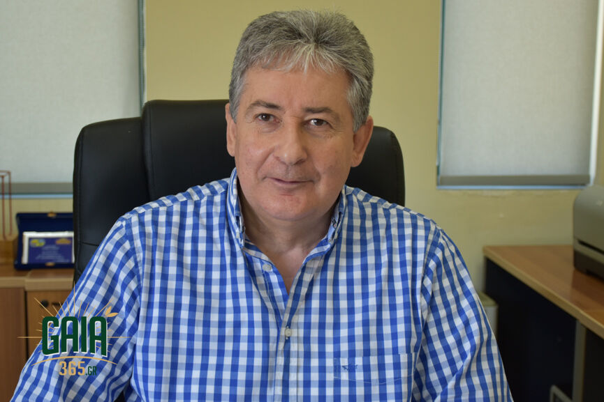 Dasarxis Pirgou 1