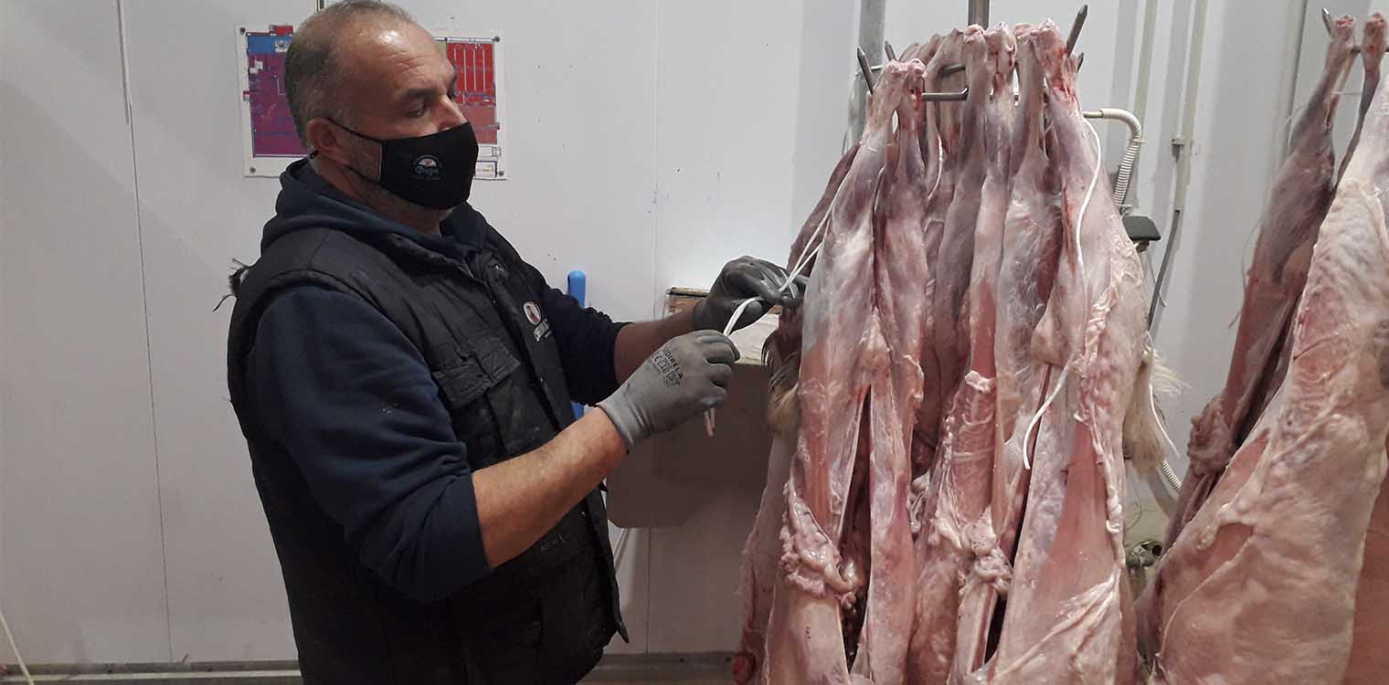 Συστηματικοί έλεγχοι στην αγορά από τις Κτηνιατρικές Υπηρεσίες της Περιφέρειας Δυτ. Ελλάδας ενόψει του Πάσχα