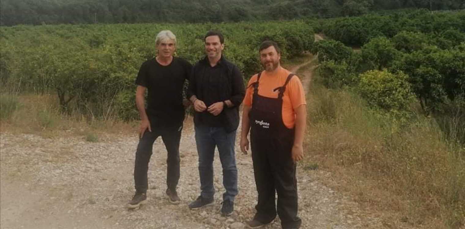 Δ. Νικολακόπουλος: Παγετός και πανδημία προκάλεσαν αδιέξοδα στους αγρότες