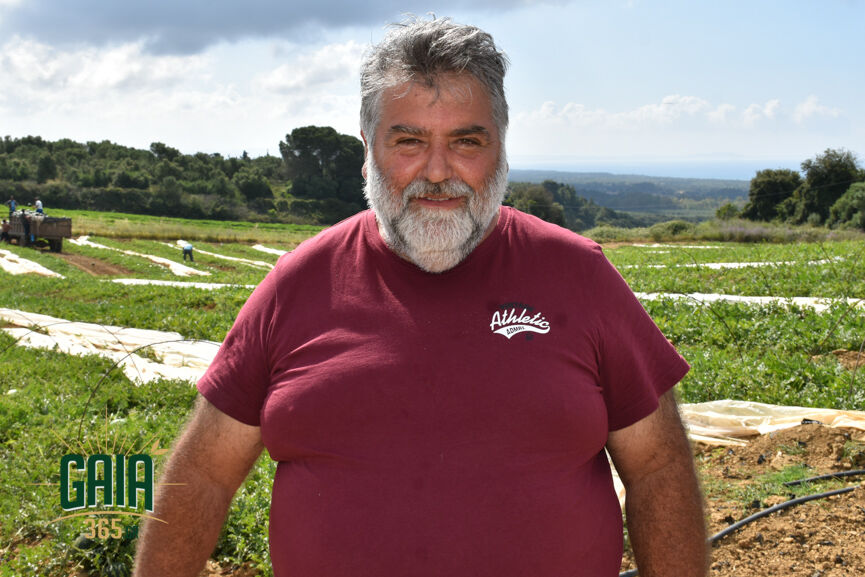 Georgiopoulos G
