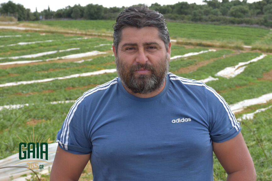 Georgiopoulos V