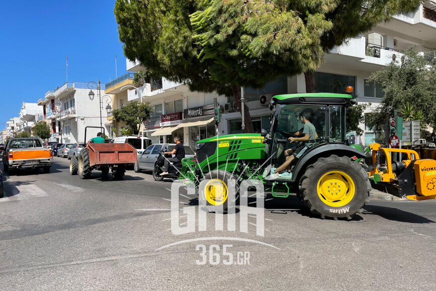 oasi agrotes 4