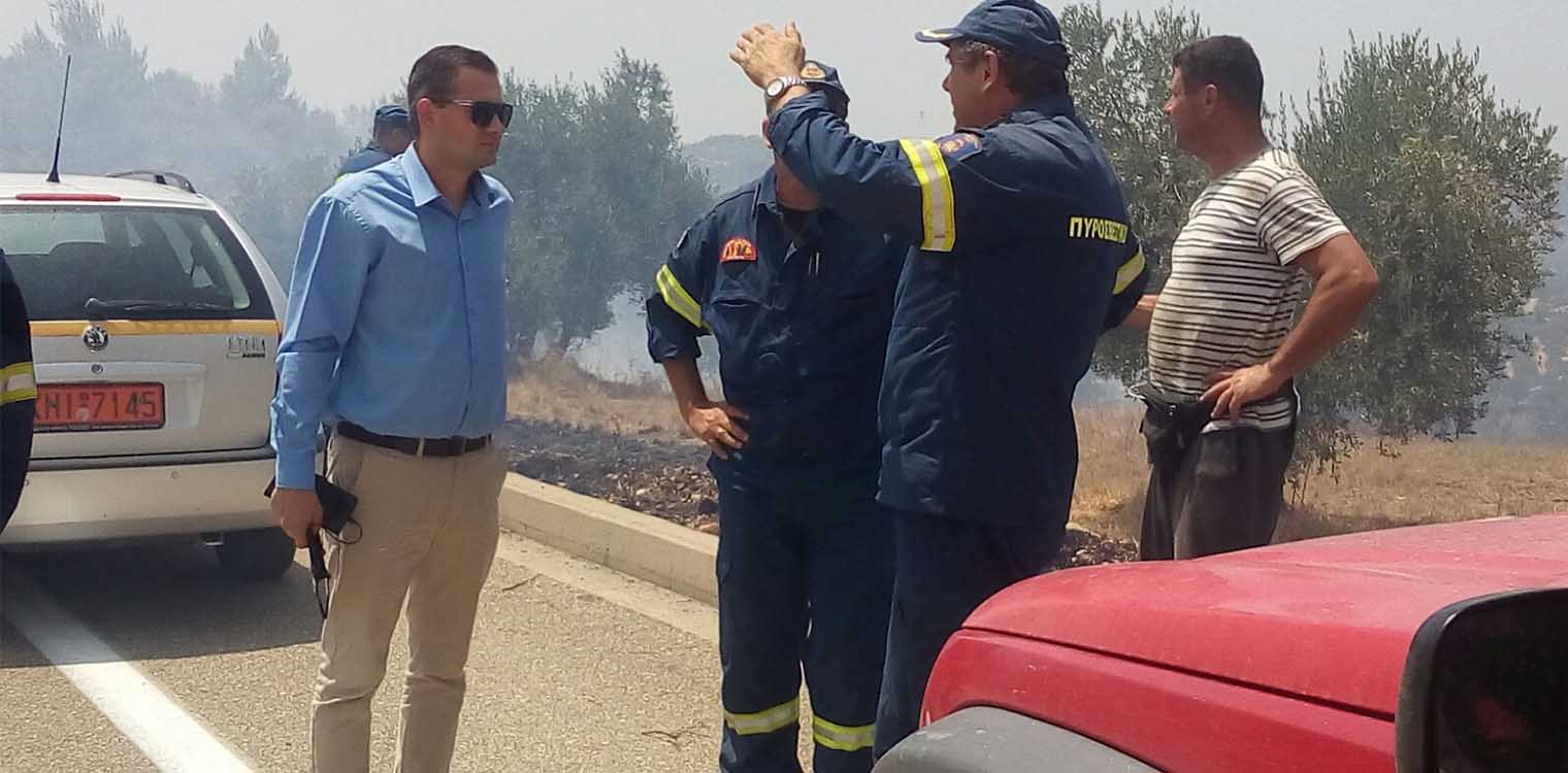 Βασιλόπουλος: Ριζικά μέτρα για φυτική παραγωγή, ζωϊκό κεφάλαιο και μελισσοκόμους