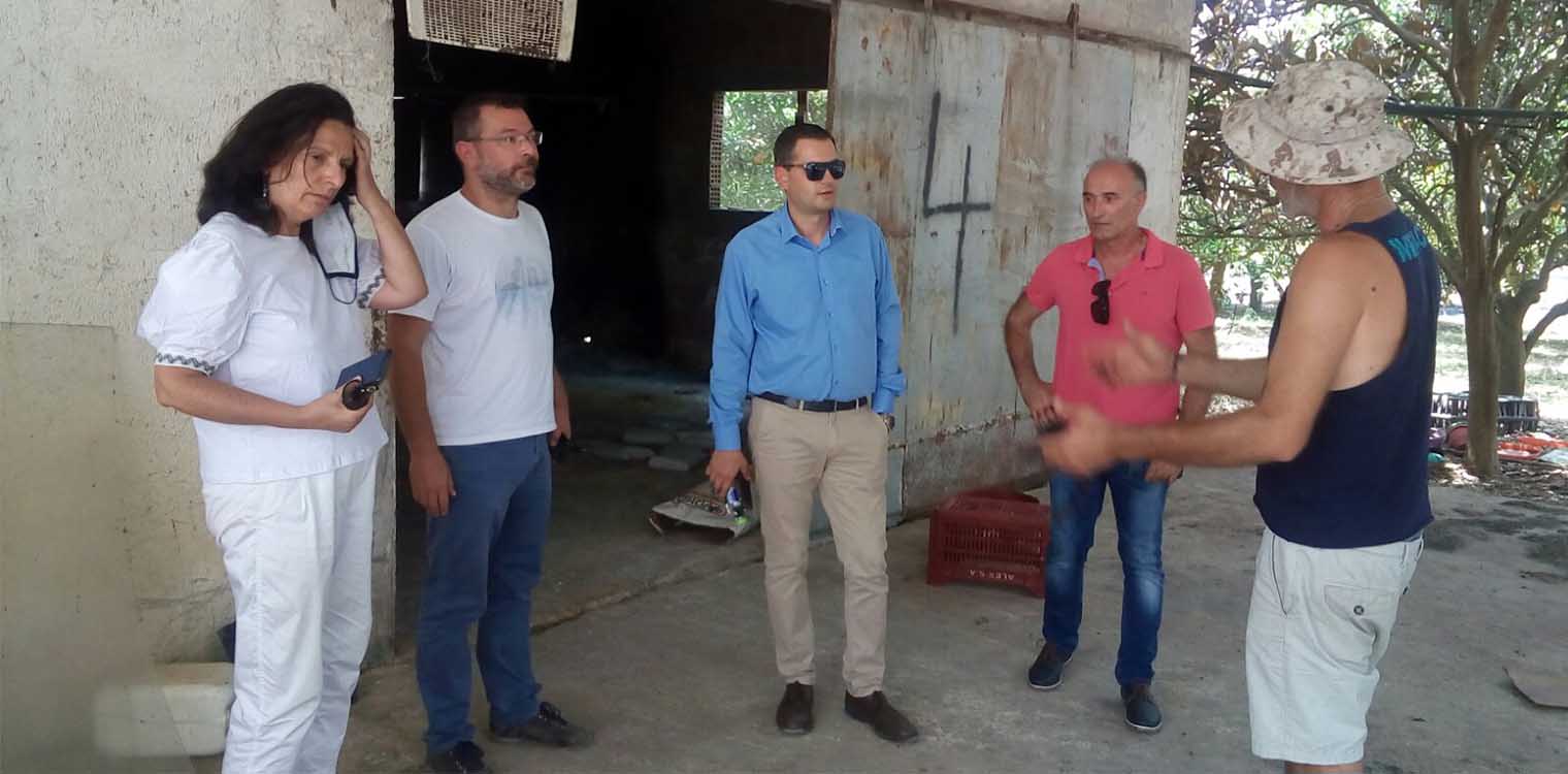 Βασιλόπουλος: Σε εφαρμογή το πρόγραμμα περισυλλογής νεκρών ζώων και στα πυρόπληκτα της Ηλείας