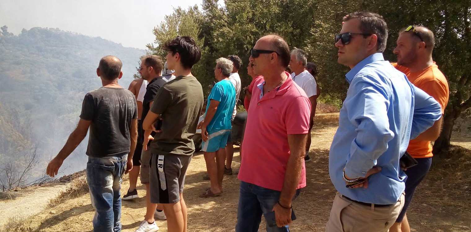 Βασιλόπουλος: Ζητούν στήριξη τα ελαιοτριβεία στις πυρόπληκτες περιοχές, περίπου 500.000 ρίζες ελιές έγιναν στάχτη