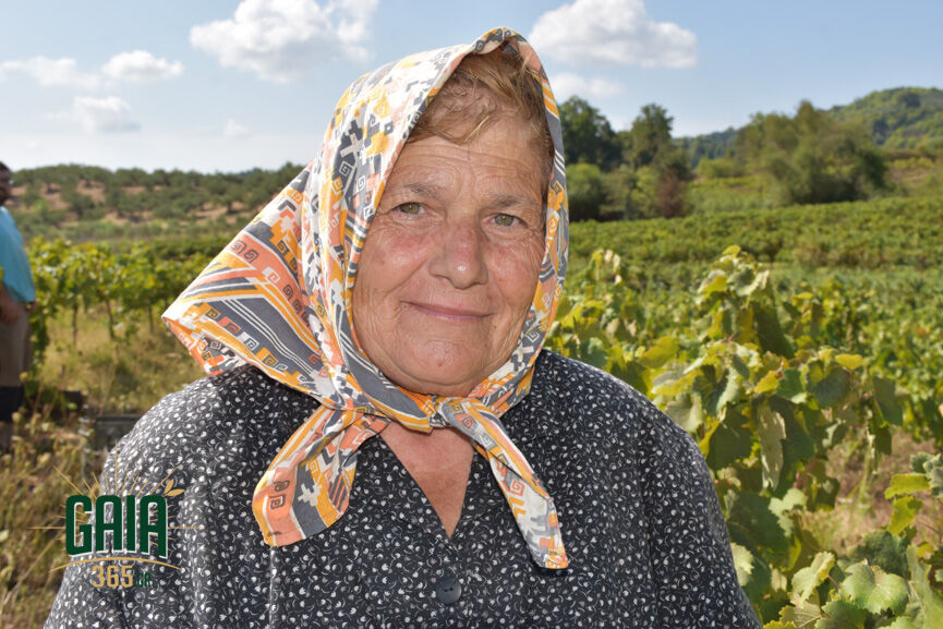 Mpouloumpasi