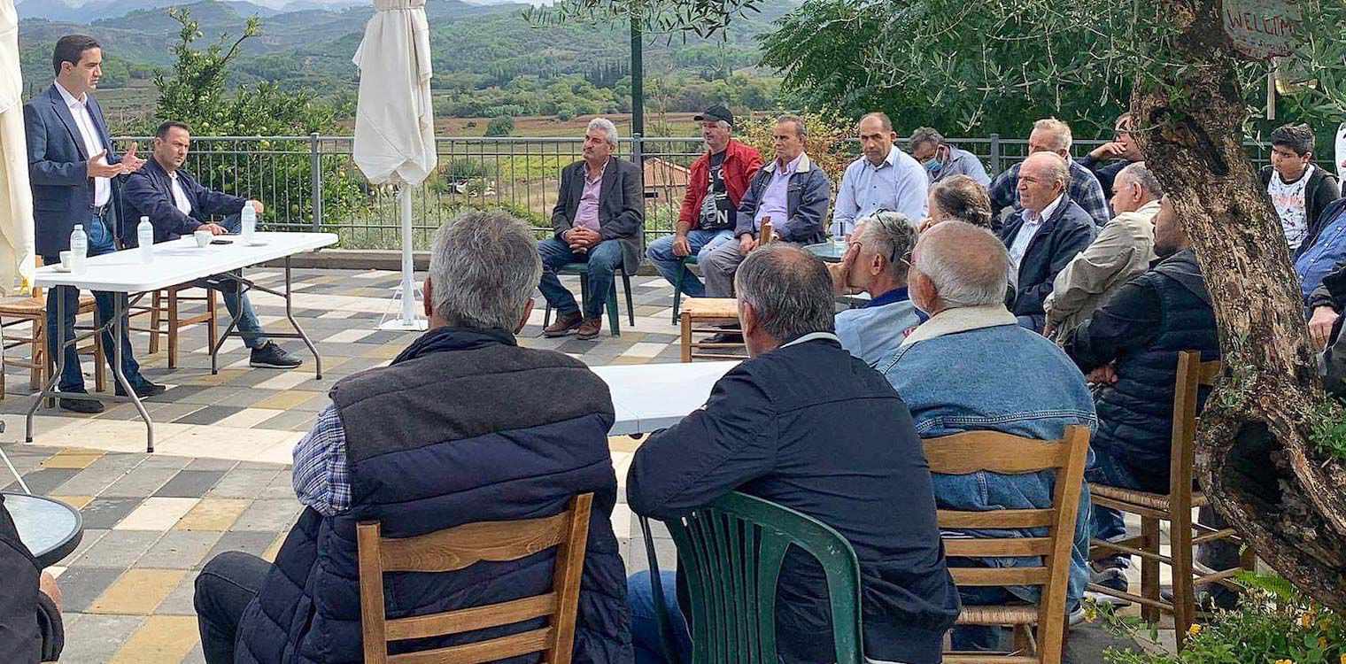 Κατρίνης: Άμεση η ανάγκη για στήριξη των σταφιδοπαραγωγών