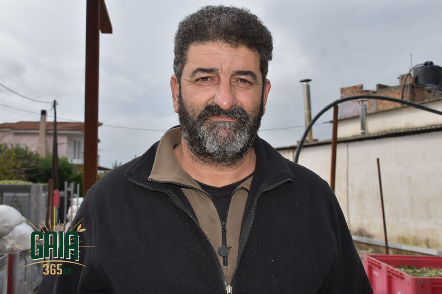 Sarakinis