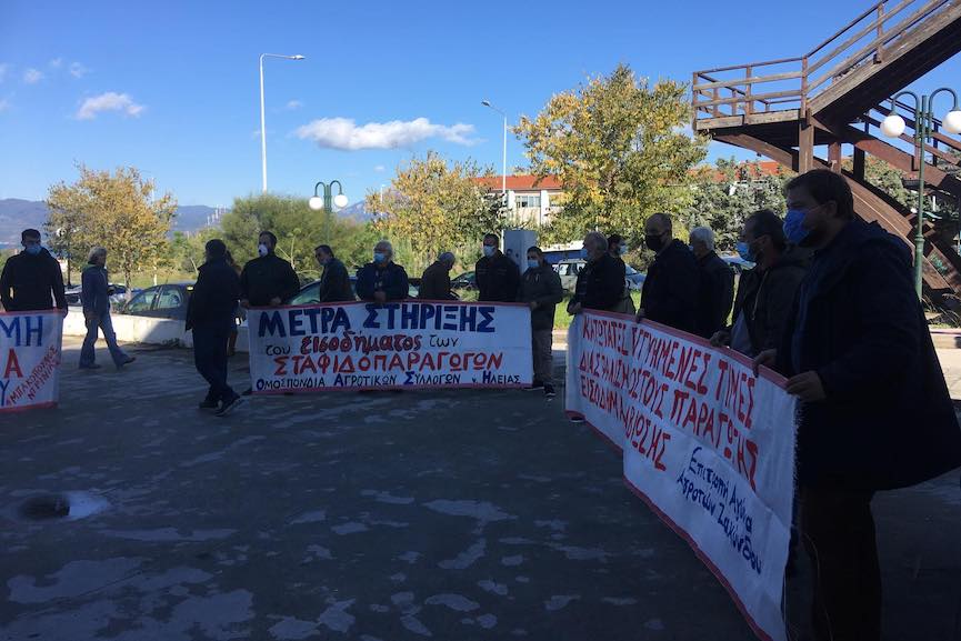 oasi patra2
