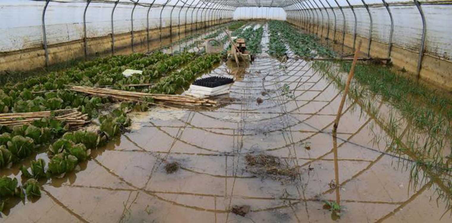 Περιφέρεια Δυτ. Ελλάδας: Αιτήσεις δήλωσης ζημιάς σε γεωργικές εκμεταλλεύσεις