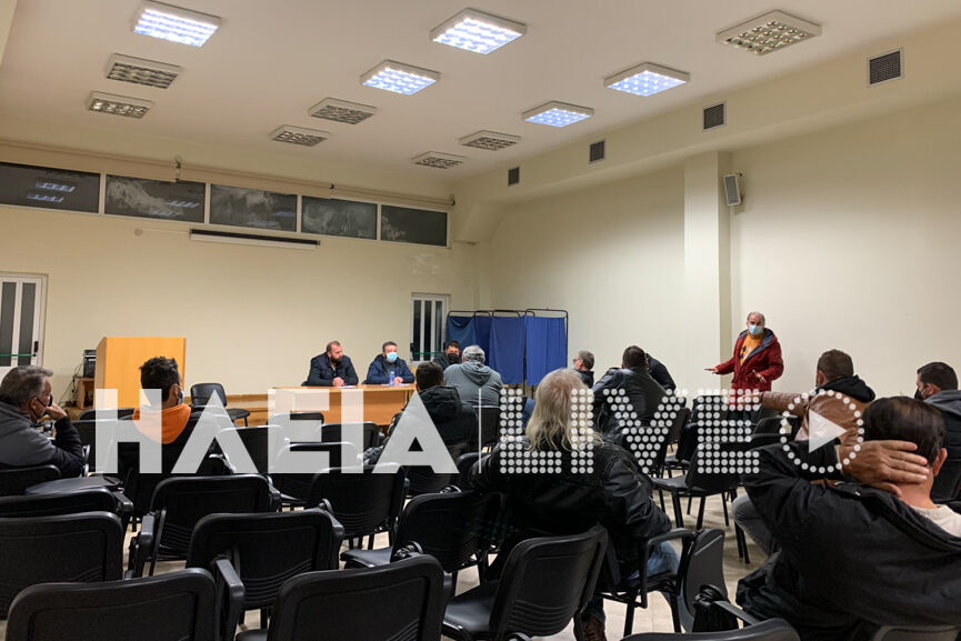 agrotes amaliada 2