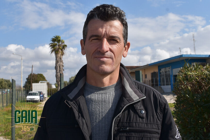 Nikolopoulos