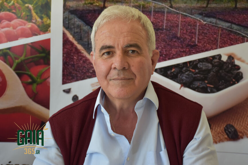 agrotes omada 5