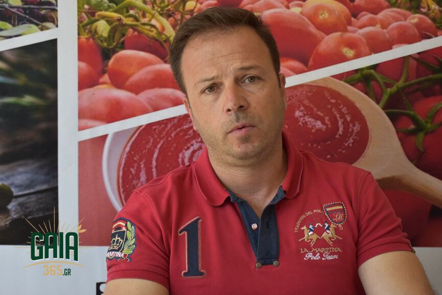 agrotes omada 6