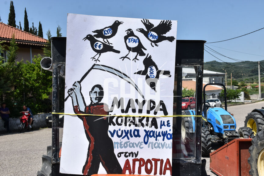 oasi karatoula 3