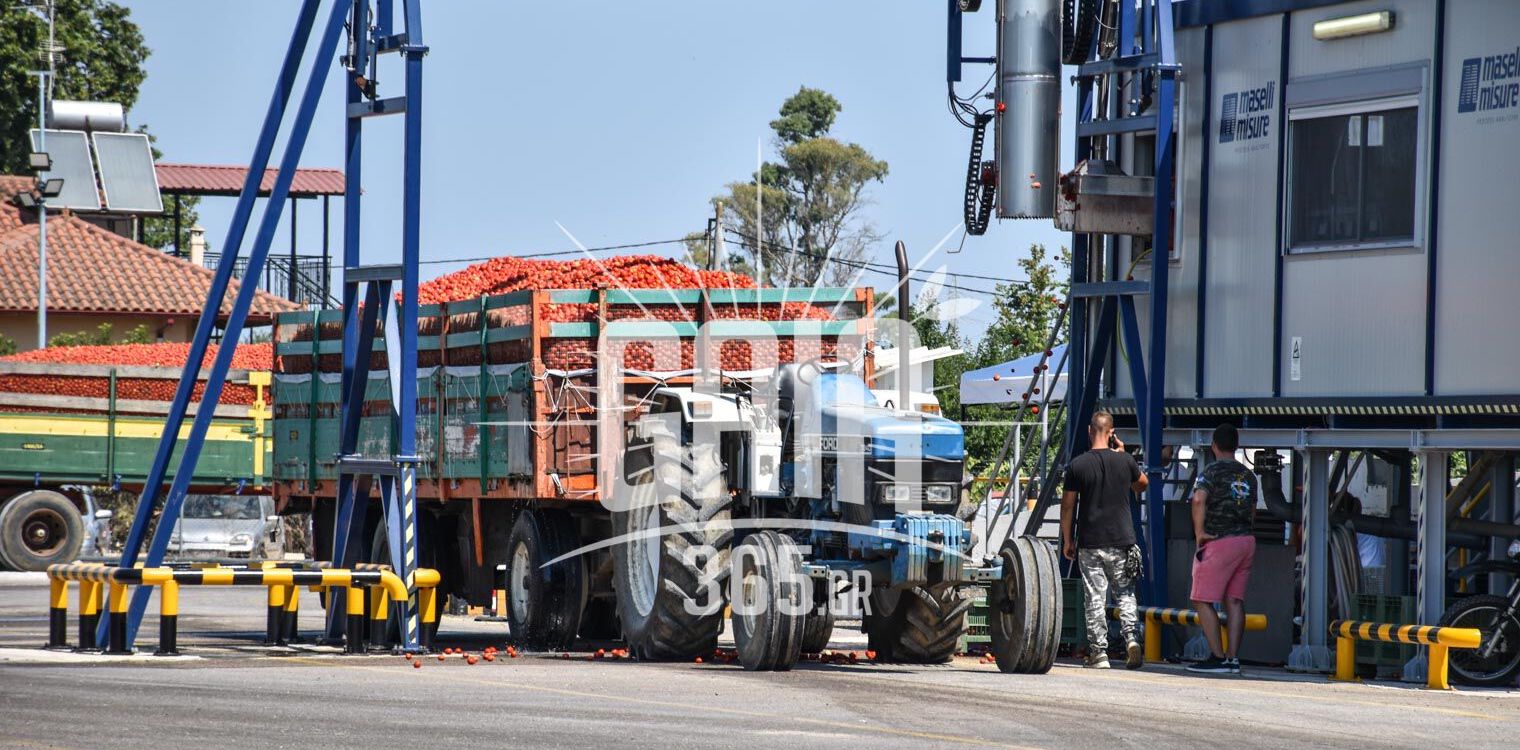 Ηλεία: Άνοιξαν τα εργοστάσια της βιομηχανικής τομάτας