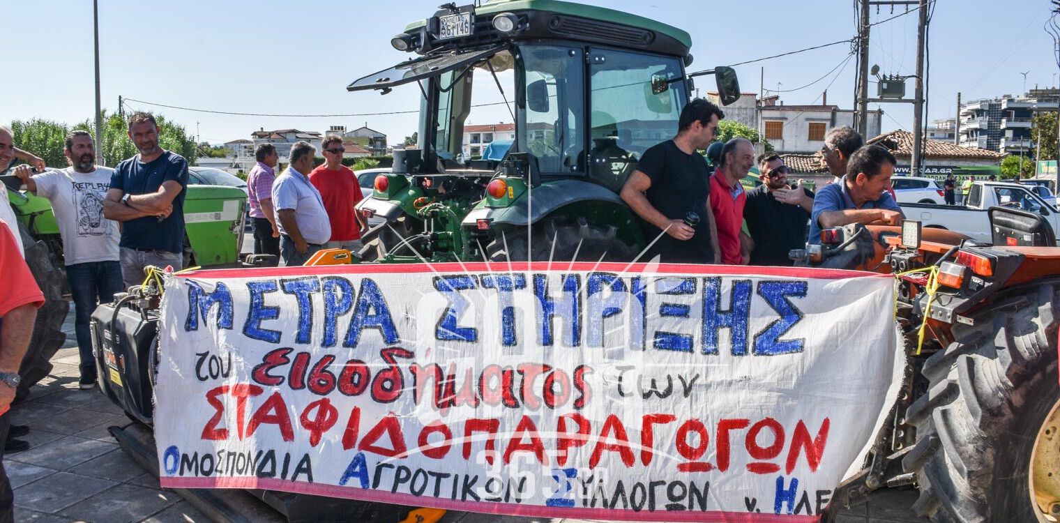 Ξανά στους δρόμους οι σταφιδοπαραγωγοί - Ζητούμενο η κατώτατη εγγυημένη τιμή