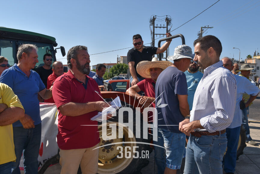 agrotes oasi 2
