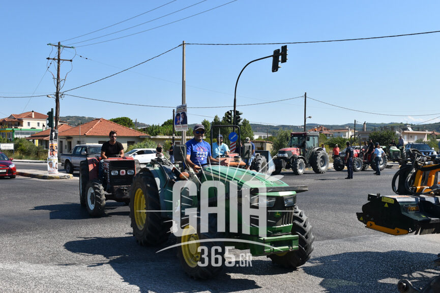 agrotes oasi 3