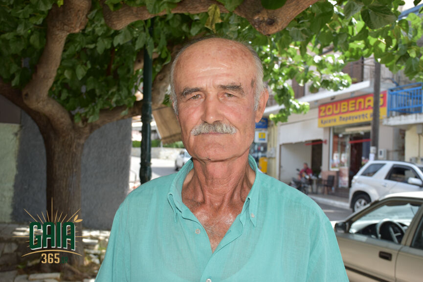 Delegkos