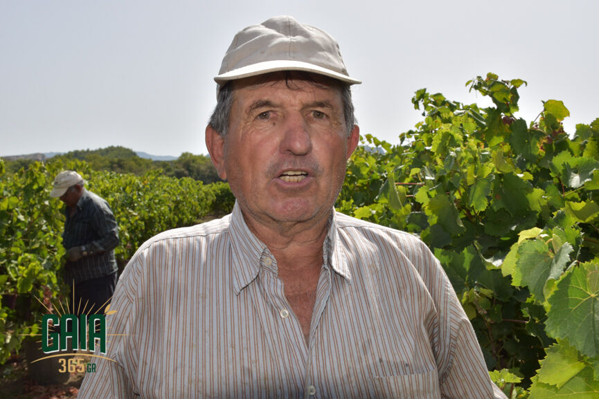 Stauropoulos 2