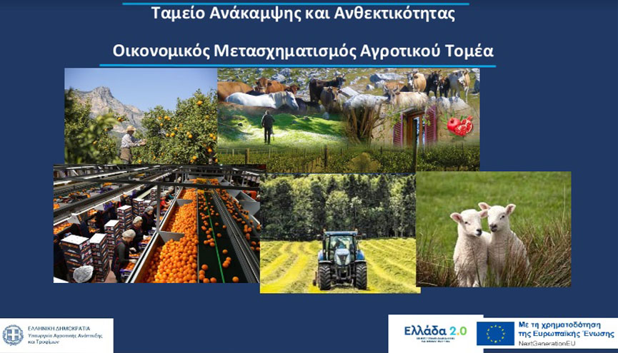 metasx agr tomea 2