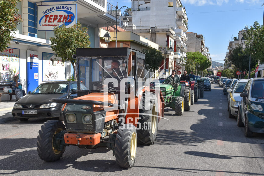 oasi ag.giorgiou 3