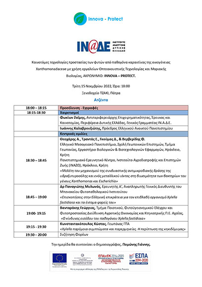 inade elia imer 2
